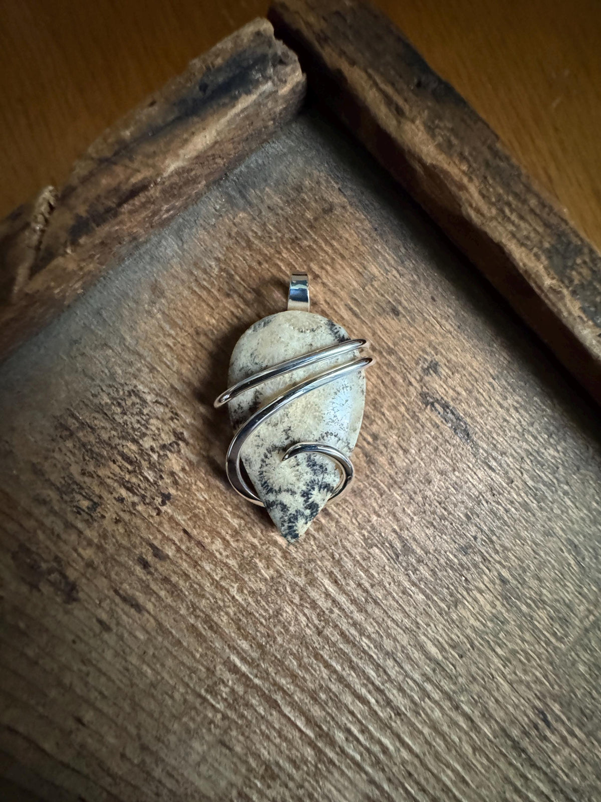 Fossilized coral in sterling silver pendant