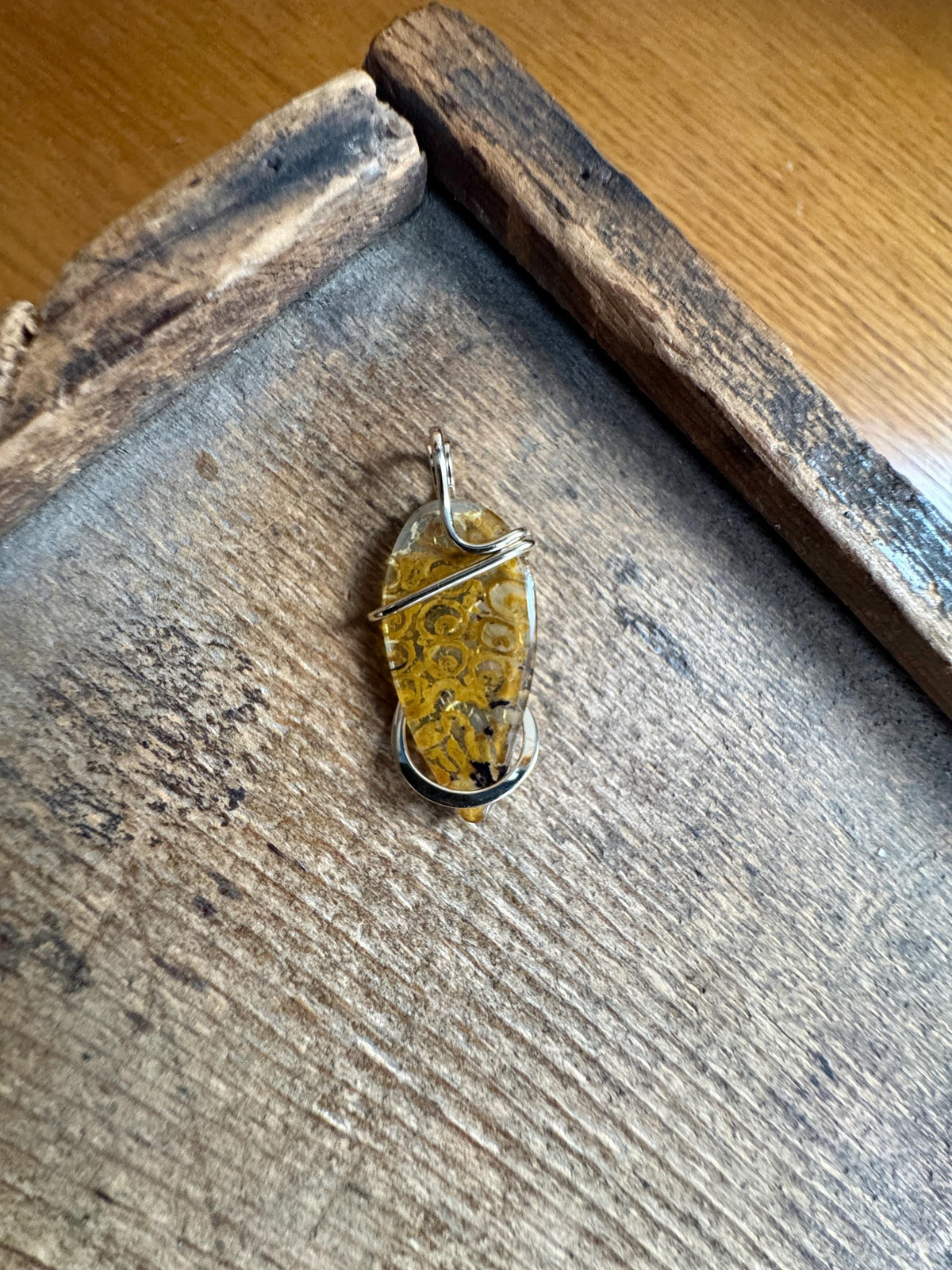 Fern fossil in 14k gold pendant
