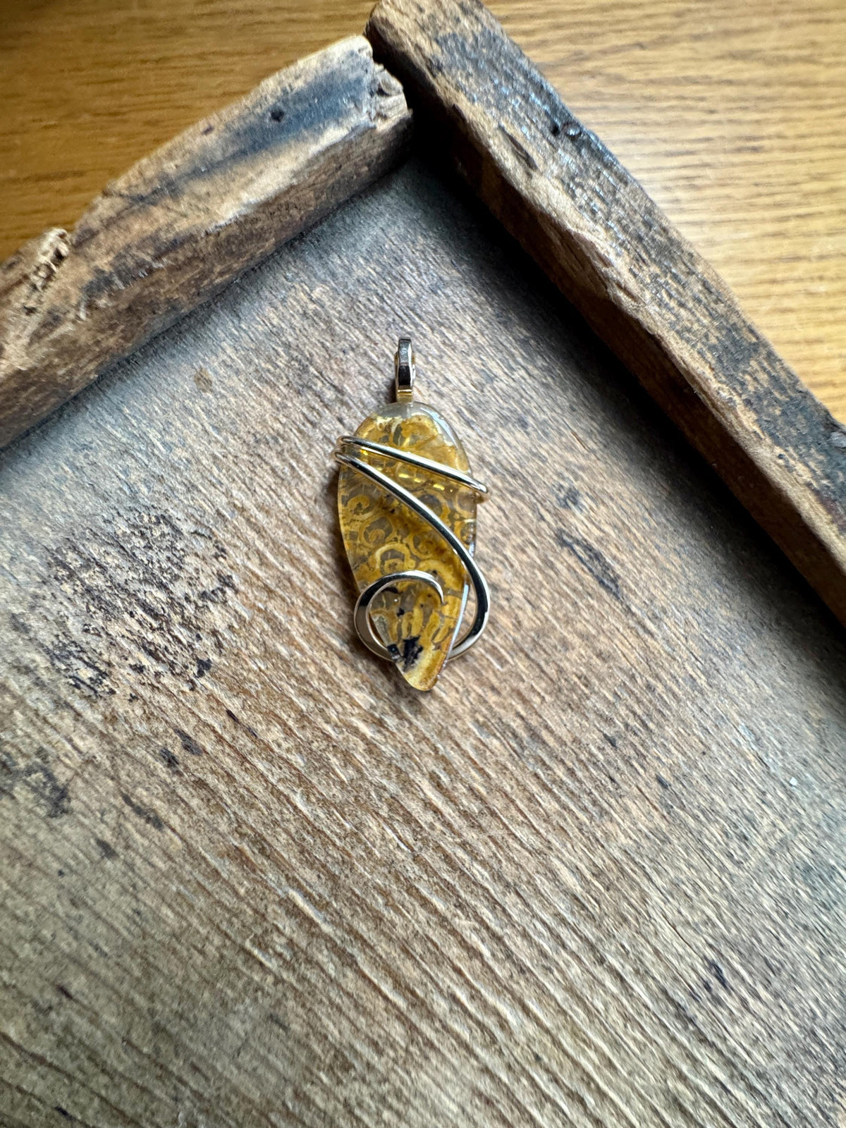 Fern fossil in 14k gold pendant