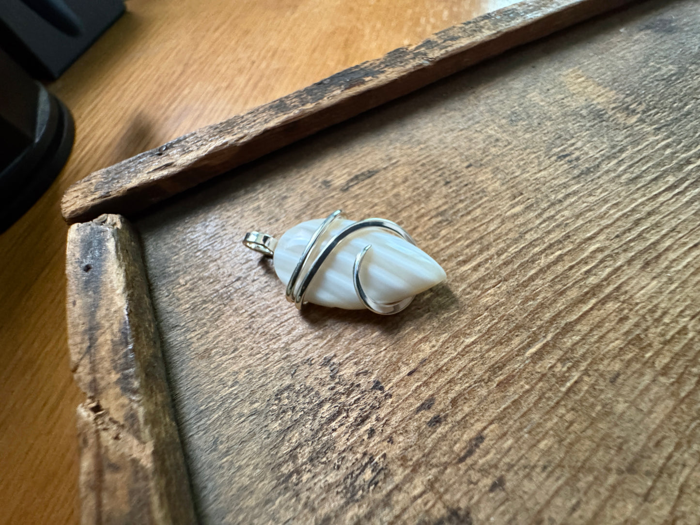 Shell in forged sterling silver pendant