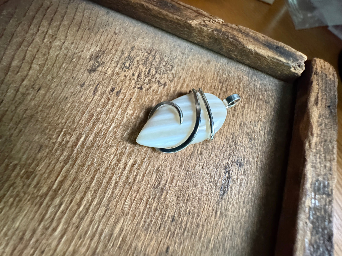 Shell in forged sterling silver pendant