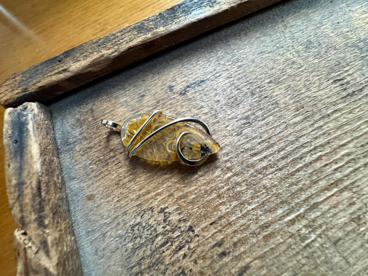 Fern fossil in 14k gold pendant