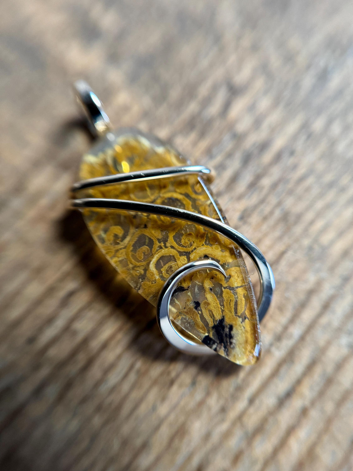 Fern fossil in 14k gold pendant