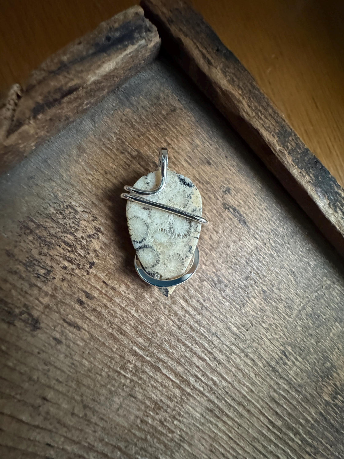 Fossilized coral in sterling silver pendant