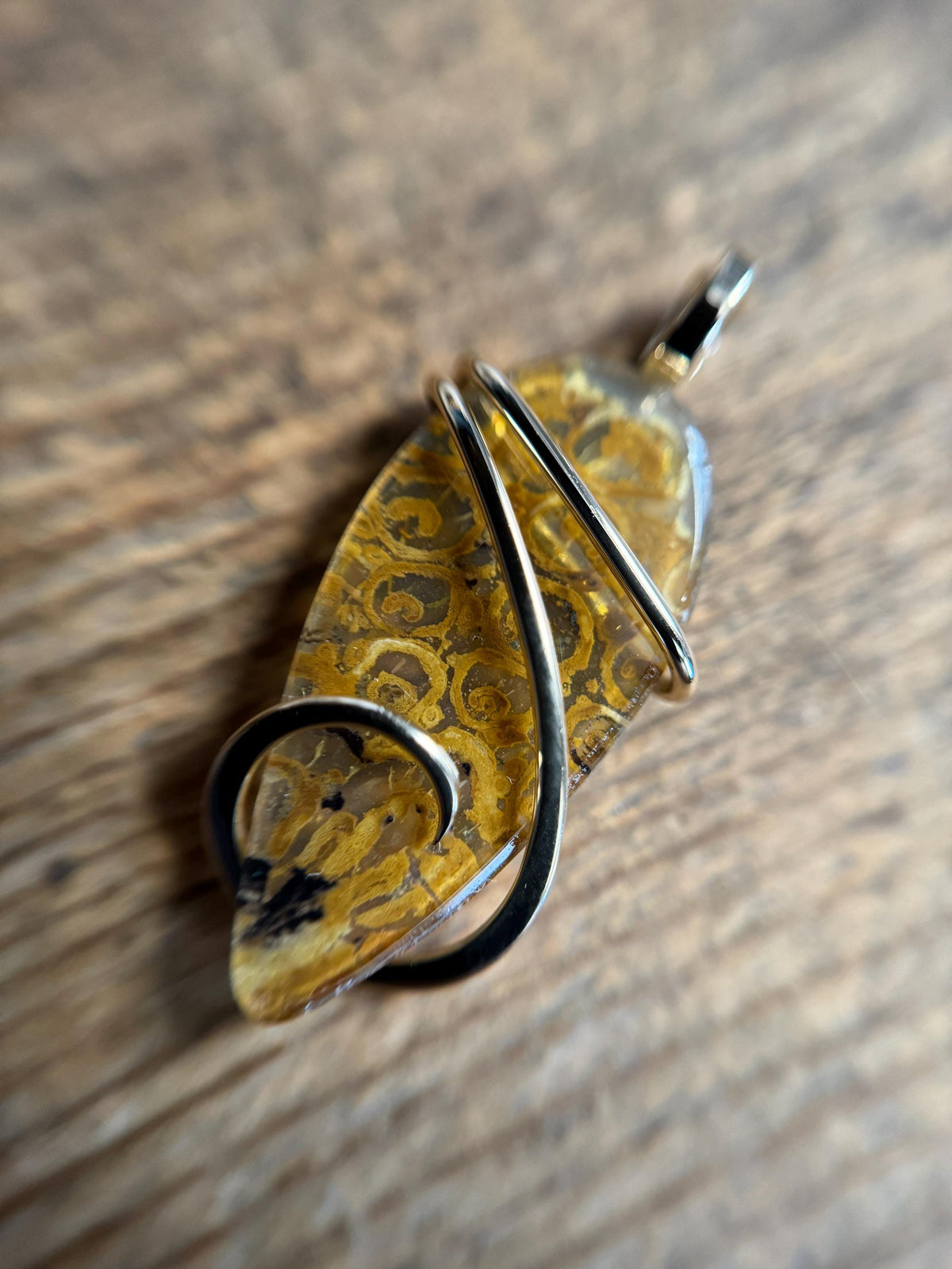 Fern fossil in 14k gold pendant